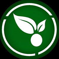سبزمارکت آنا